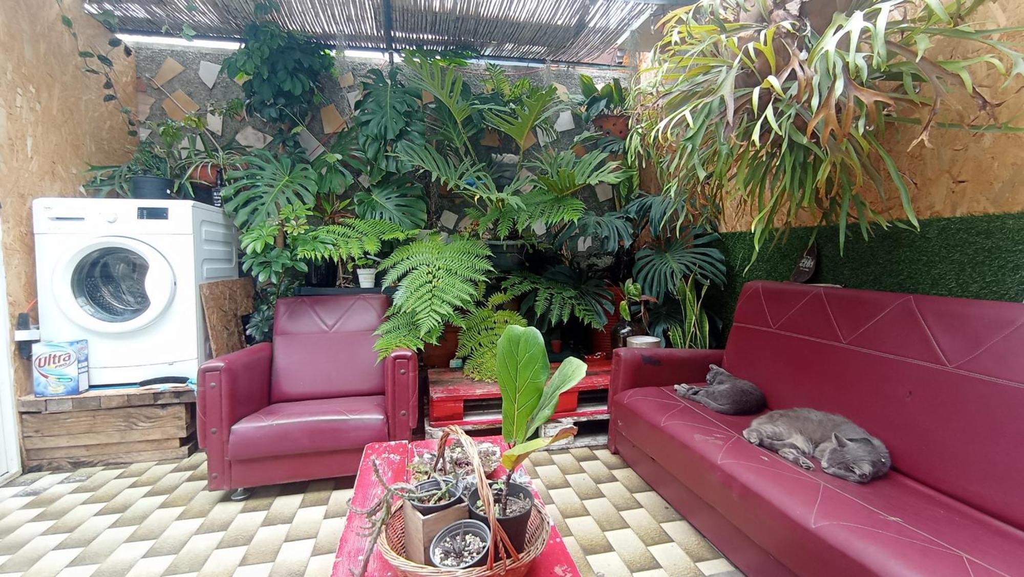 Kanela Guest House Machico  Extérieur photo