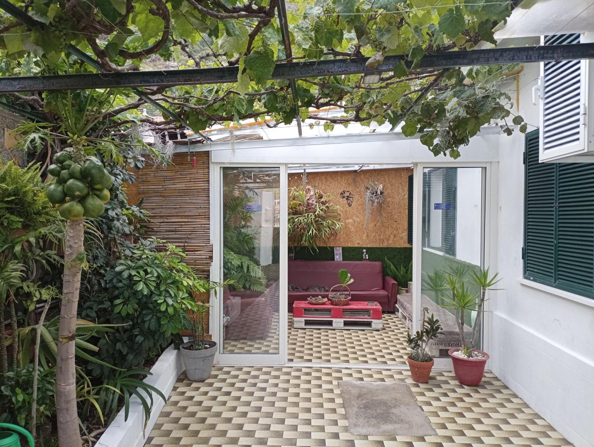Kanela Guest House Machico  Extérieur photo